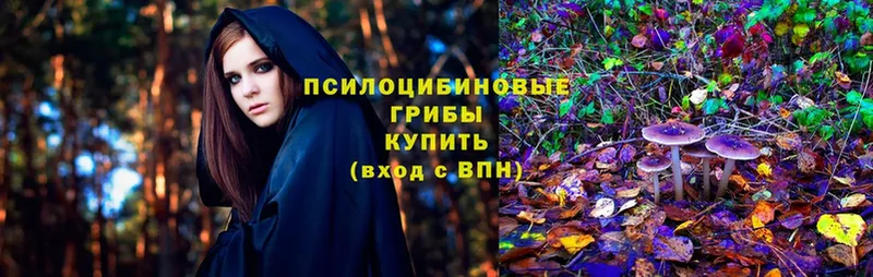 Псилоцибиновые грибы Cubensis  купить  сайты  Вуктыл 